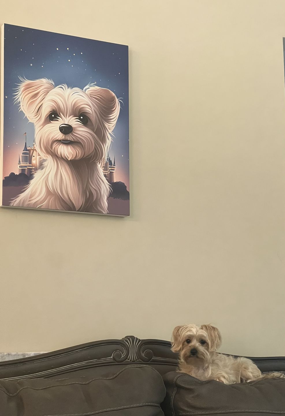 Customer photo review of Custom Pet Portrait