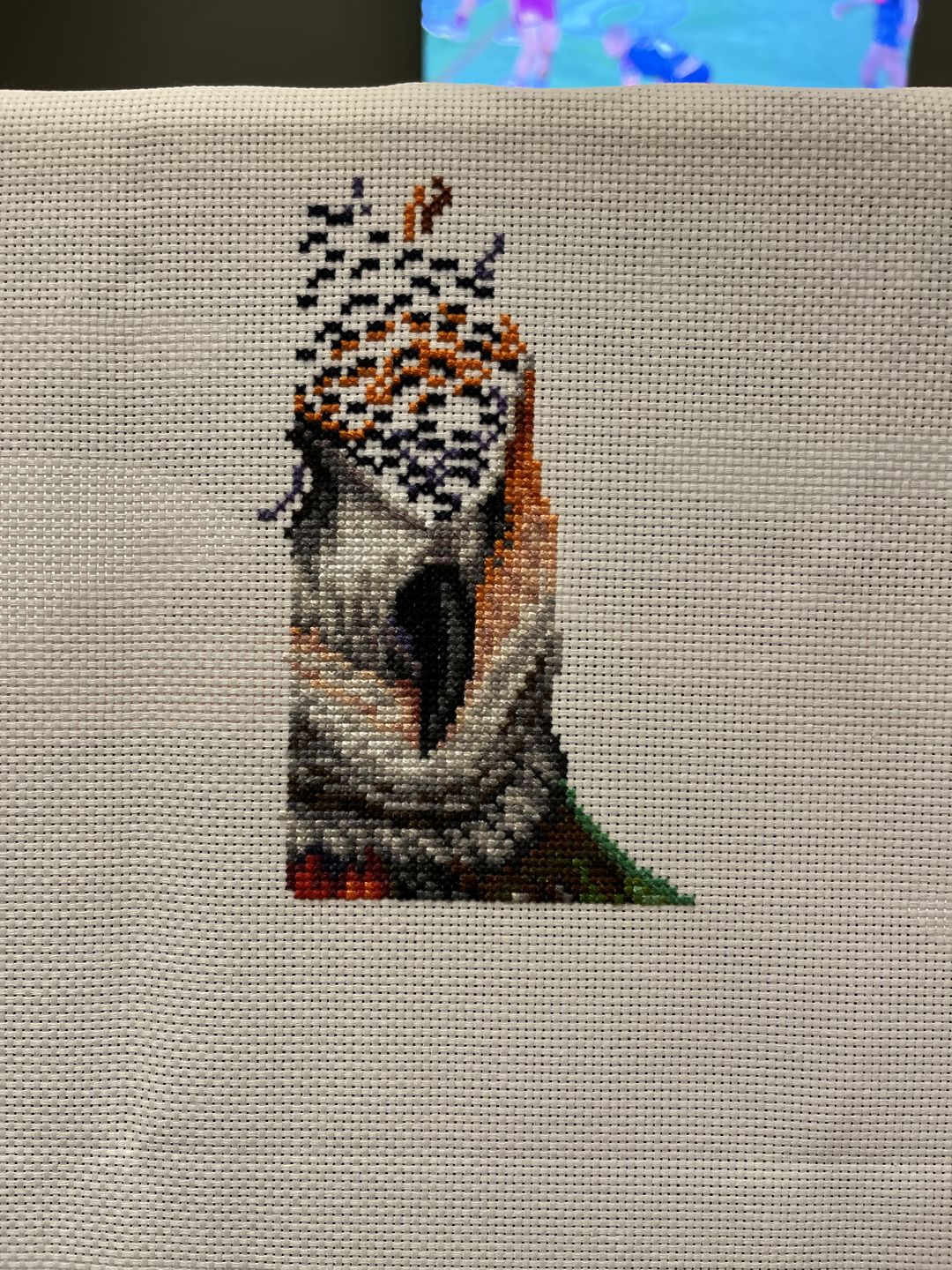 Customer photo review of Rainbow owl