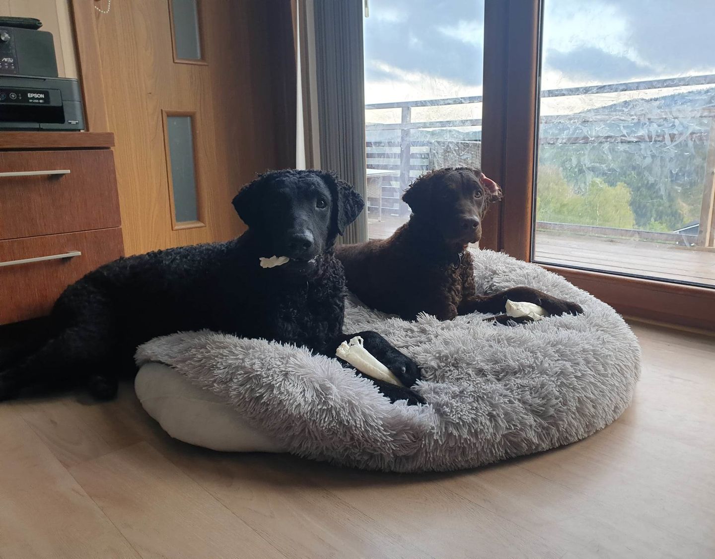 Customer photo review of CalmBed reservetrekk