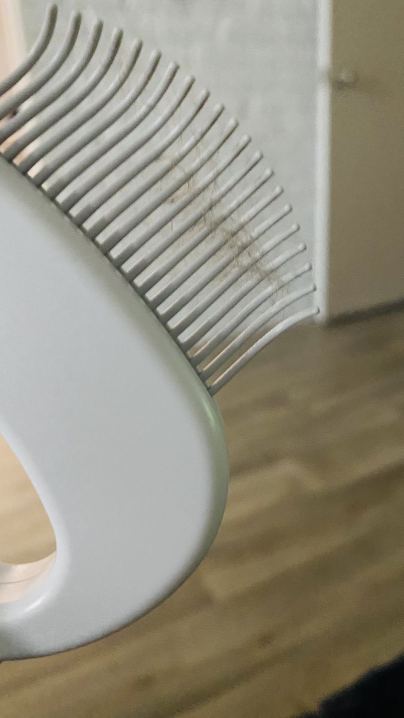 Customer photo review of Cat Hair Removal Massaging Shell Comb