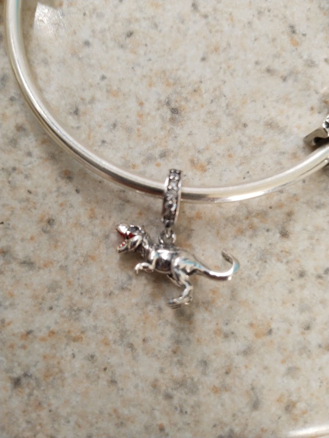 Customer photo review of Charm T-Rex