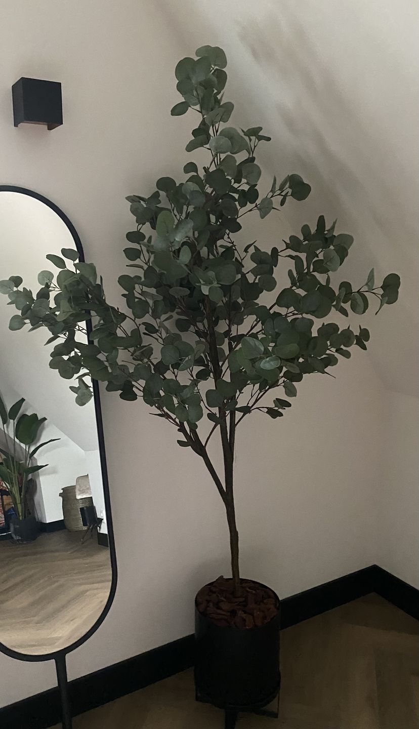 Customer photo review of Kunst Olijfboom 150cm