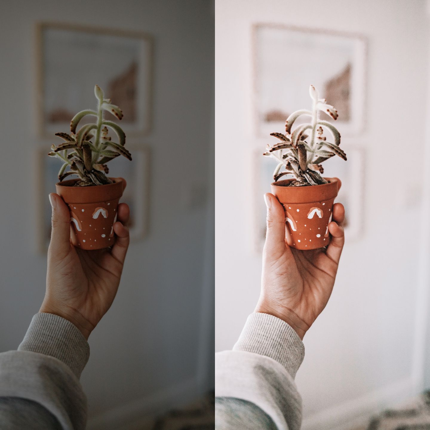 Customer photo review of ALL PRODUCTS 300 PACKS BUNDLE (3,000+ PRESETS)