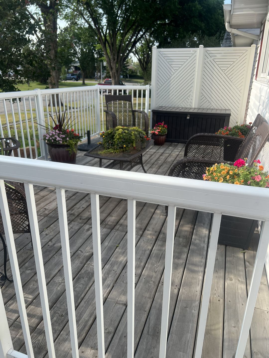 Customer photo review of Privacy Screen (Hexx)