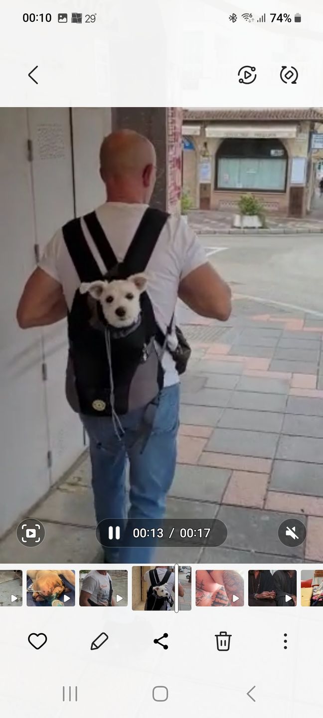Customer photo review of Emmalove - Hunde-Rucksack
