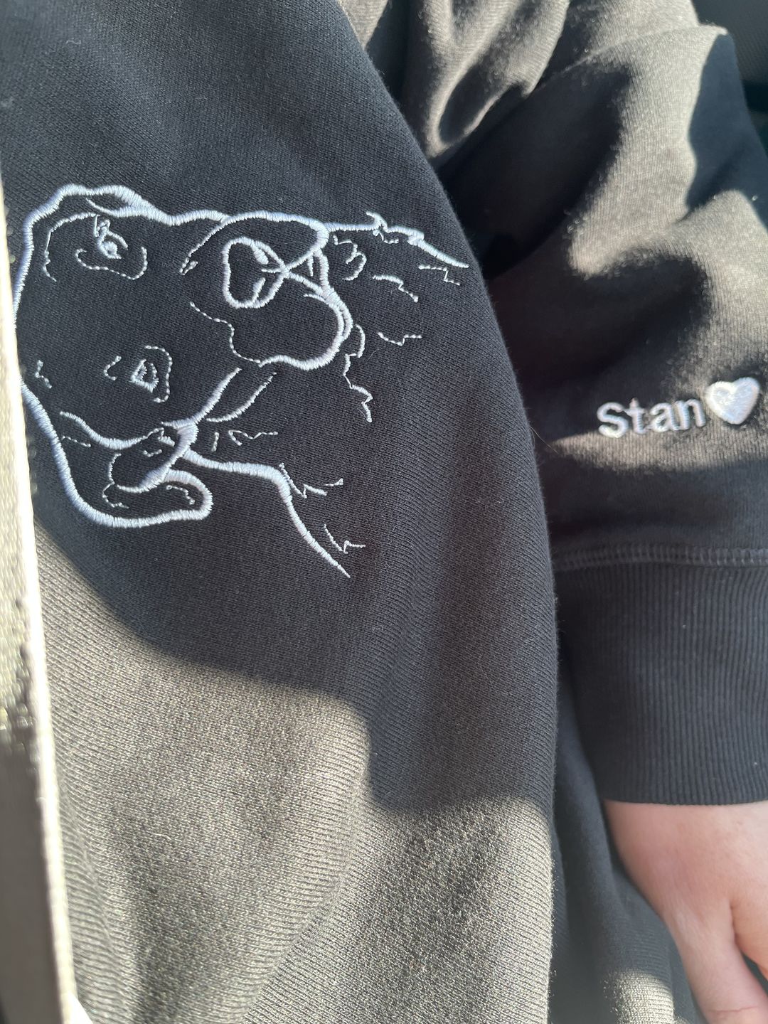 Customer photo review of CUSTOM HEAVYWEIGHT PET JUMPER | HOODIE