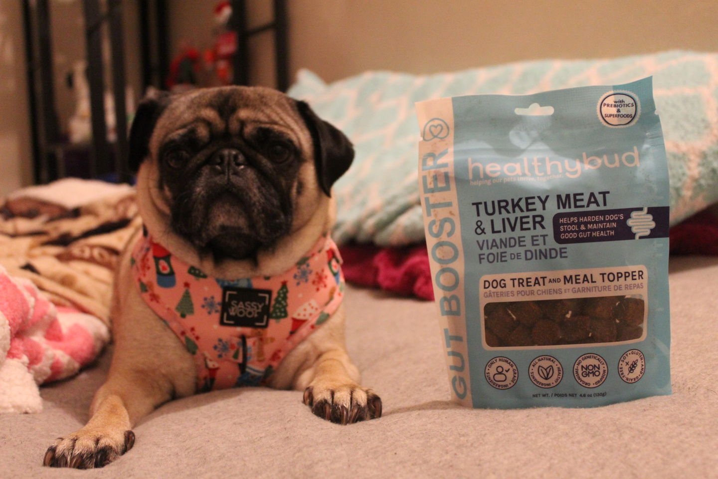 Customer photo review of Turkey Gut Booster