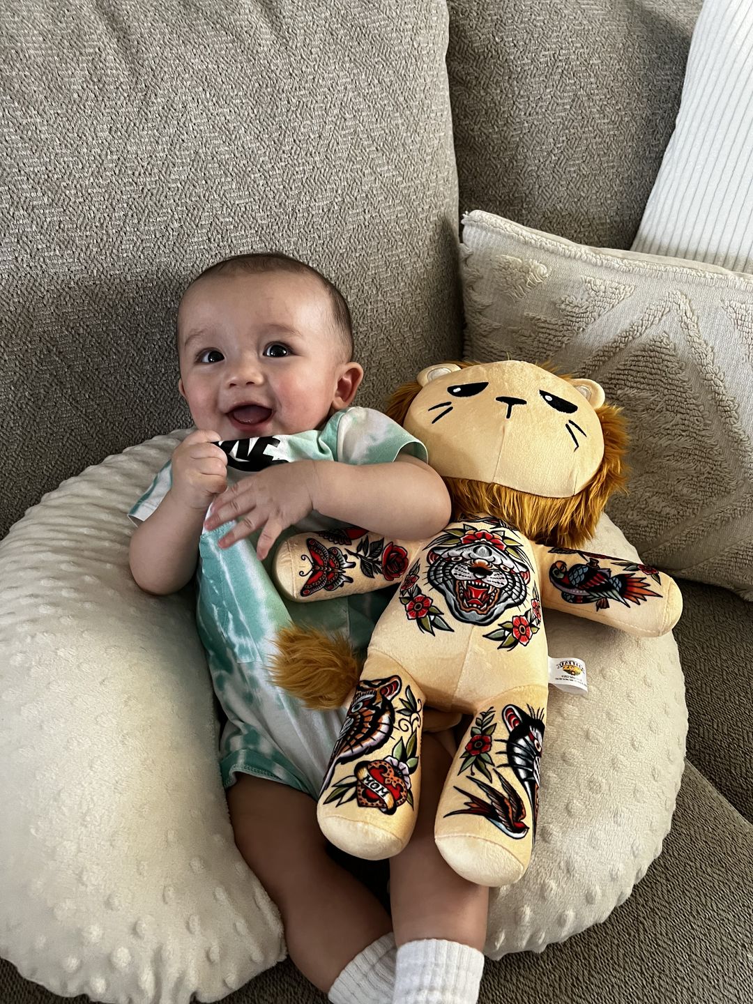 Customer photo review of Samuele the Alpha Male Lion