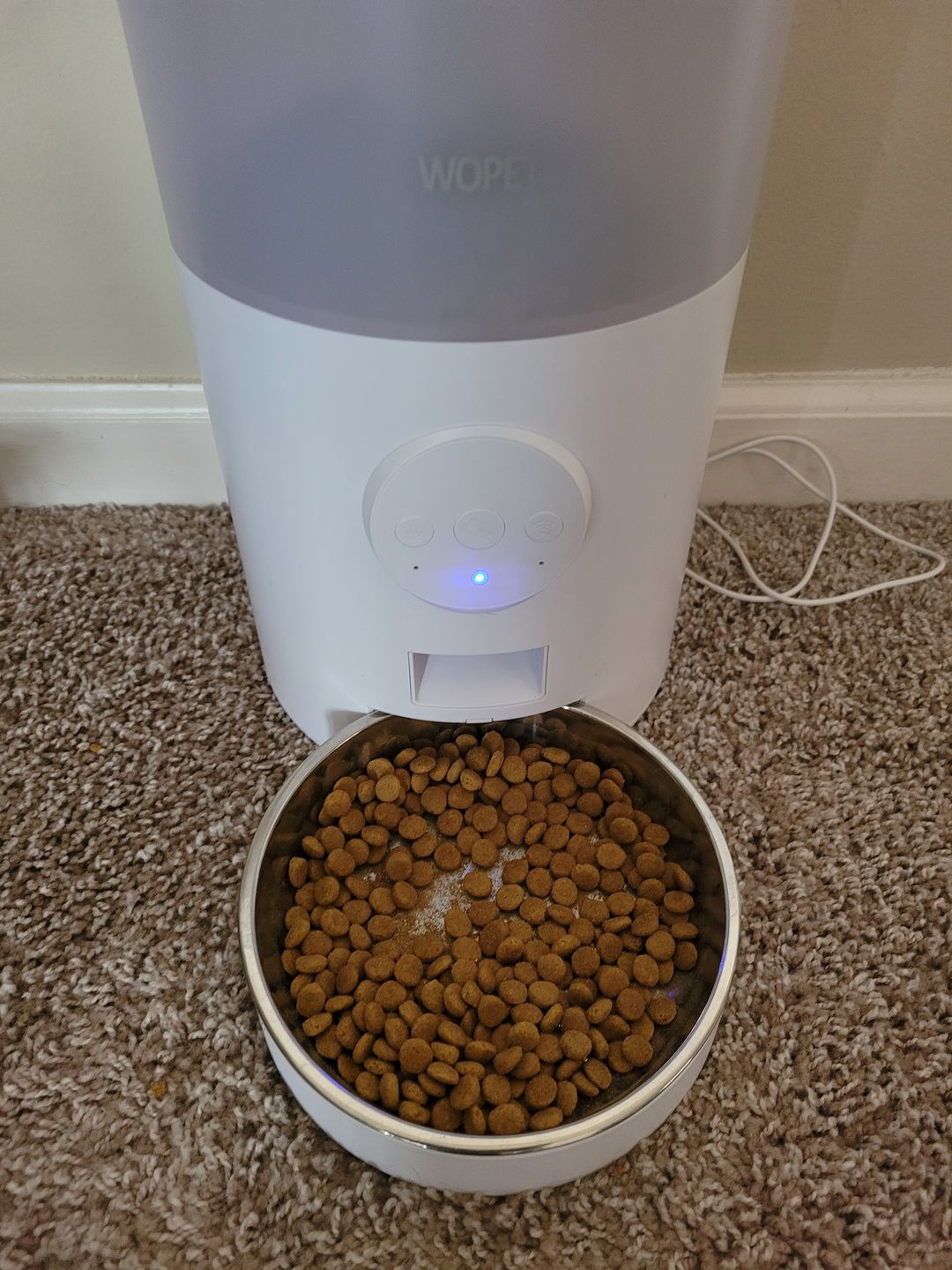 Customer photo review of Royal Canin Veterinary Diet - Urinary SO + Calm Dry Cat Food