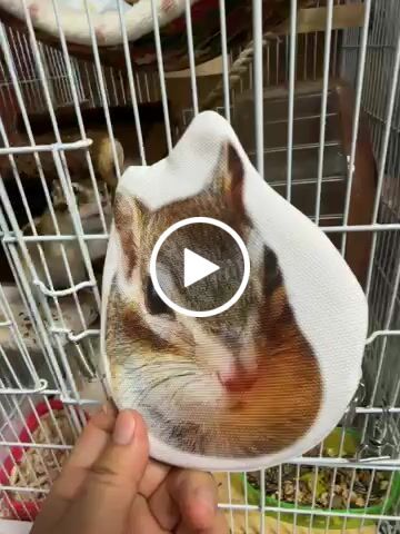 Customer video review of 好きな写真で作るオーダーメイドプリントポーチコインケース財布