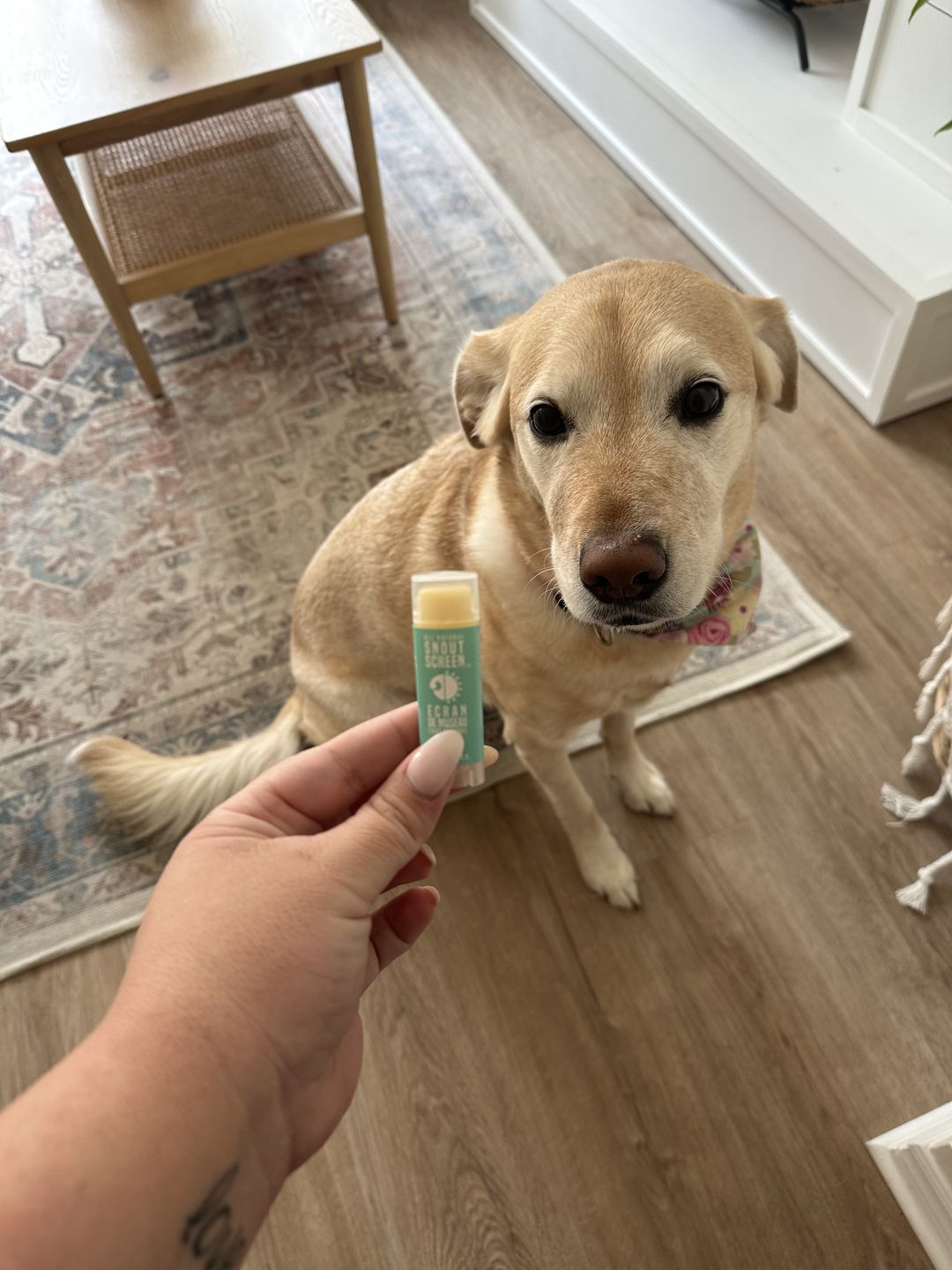 Customer photo review of Snout Screen