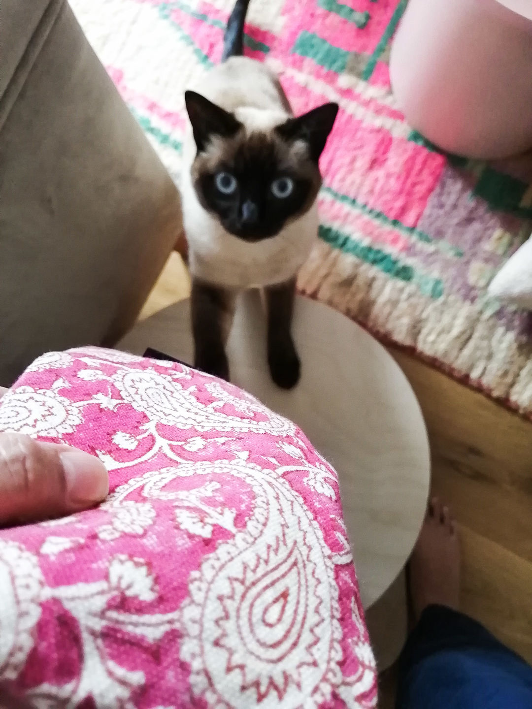 Customer photo review of Eye Pillow - Fuchsia Pink Paisley