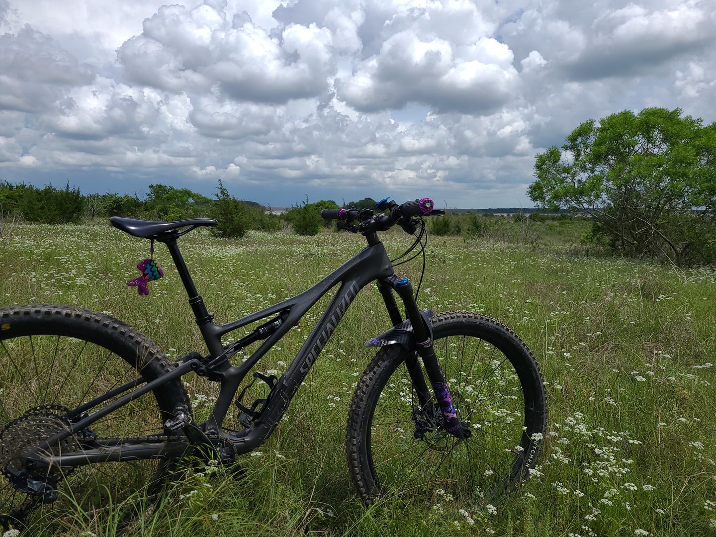 Customer photo review of Clear Frame Keeper