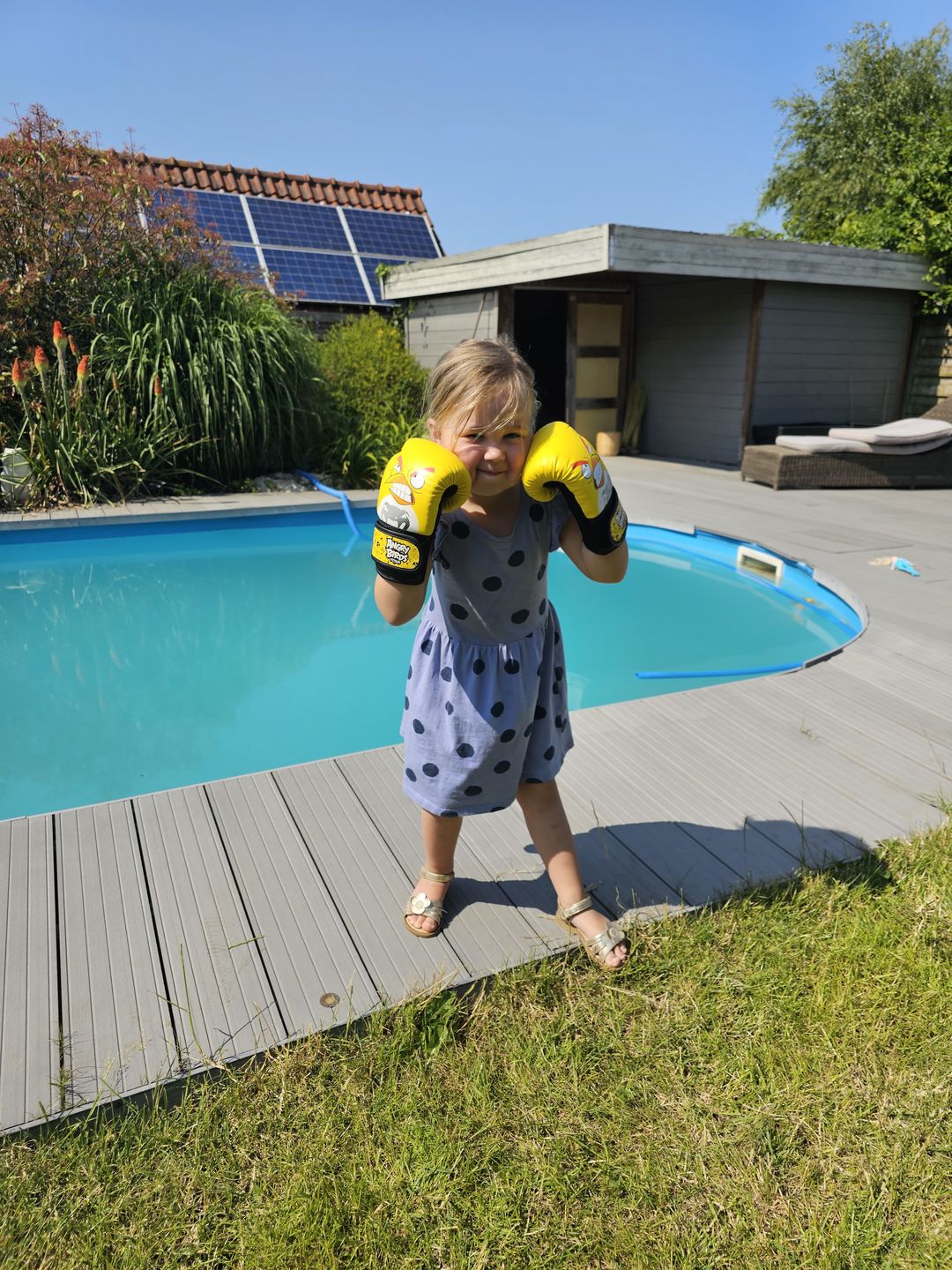 Customer photo review of Venum Bokshandschoenen Angry Birds Kinderen - Geel/Zwart