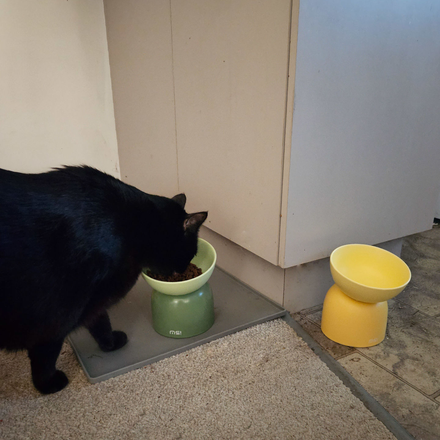 Customer photo review of Makesure Sugar Bean Ceramic Double Pet Bowls For Cat and Small Dogs