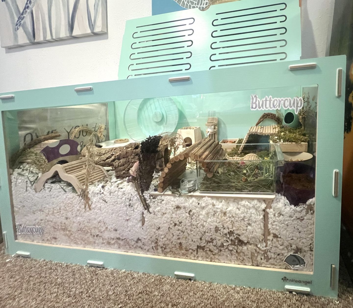 Customer photo review of Niteangel Bigger World MDF Terrarium Aspen Poplar Wooden Enclosure for Syrian and Dwarf Hamsters
