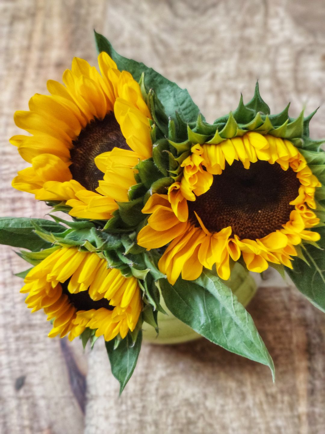 Customer photo review of Sunflowers