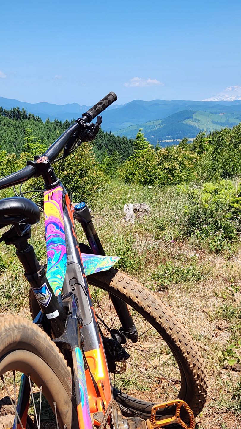 Customer photo review of Oil Slick Frame Keeper