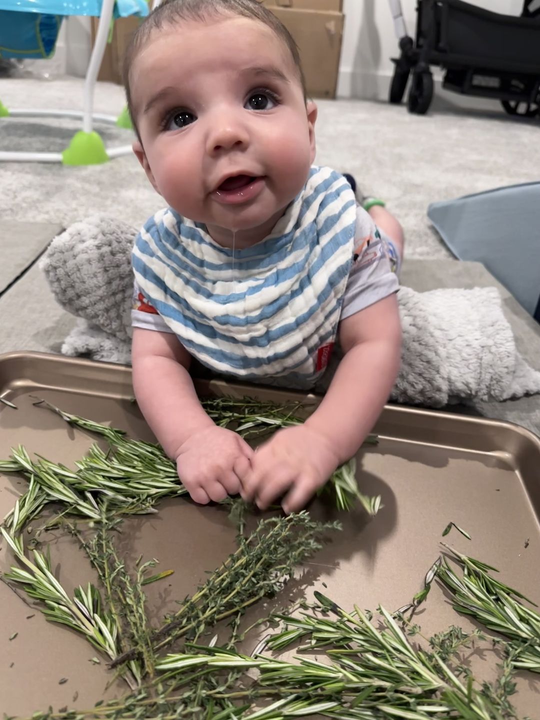Customer photo review of Curious Baby™ Activity Cards