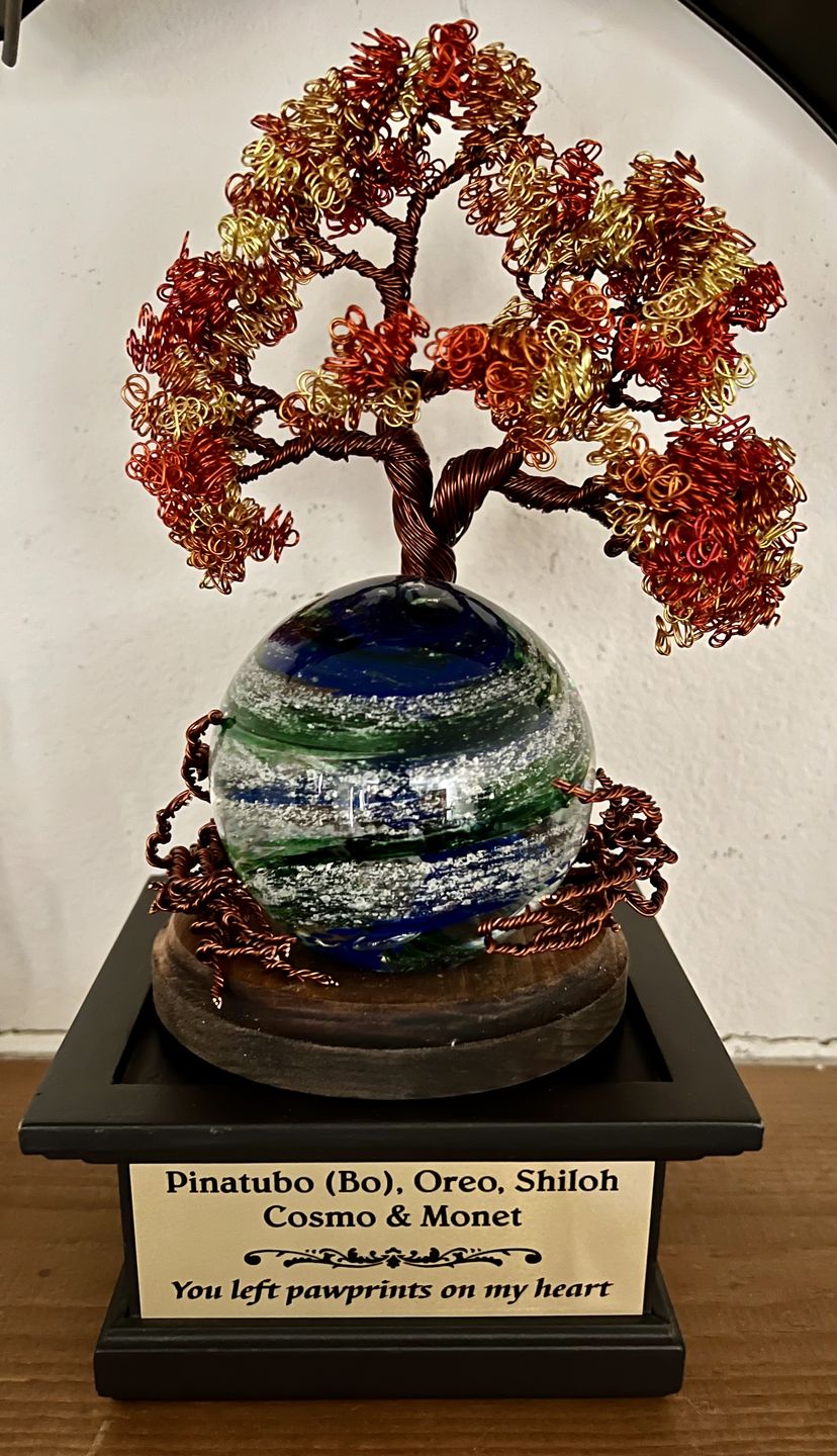 Customer photo review of Autumn Sunshine Tree Of Life with Tranquil Swirl