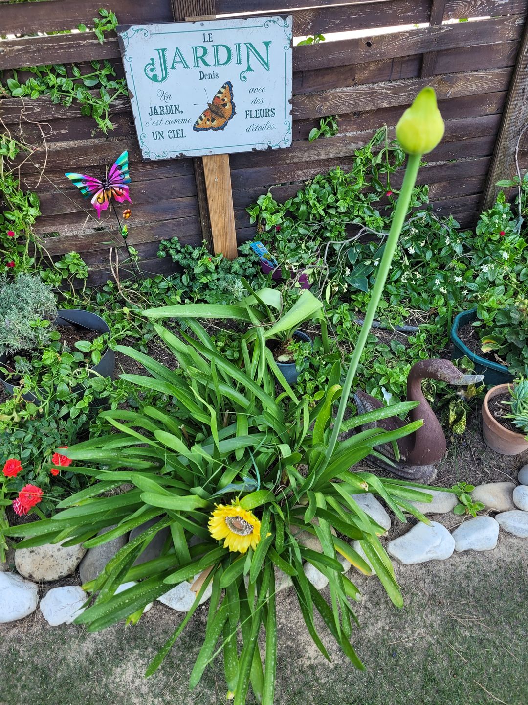 Customer photo review of Joie dans le jardin - Plaque de porte personnalisée