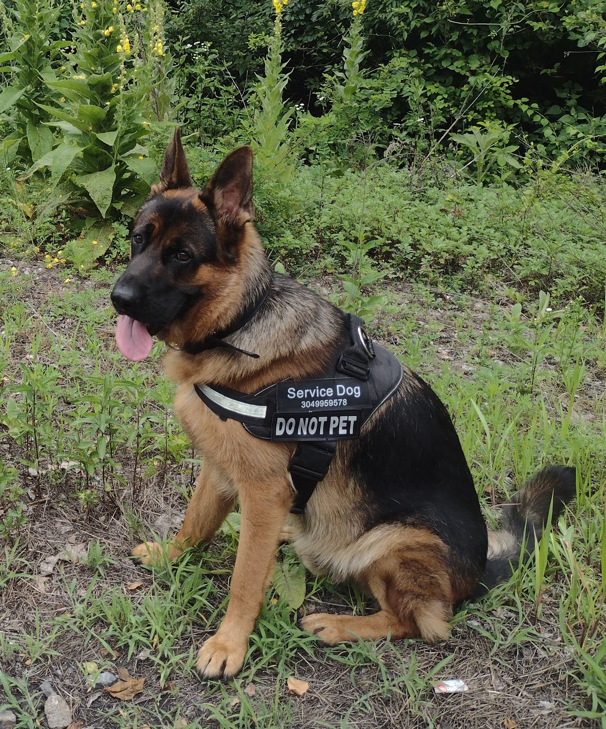 Customer photo review of 12 Inch Braided Jerky Stick