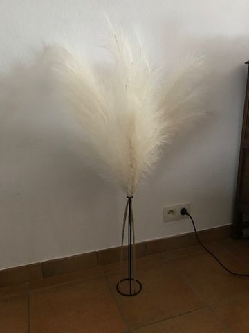 Customer photo review of Pampas 110cm (3 stengels)- Beige