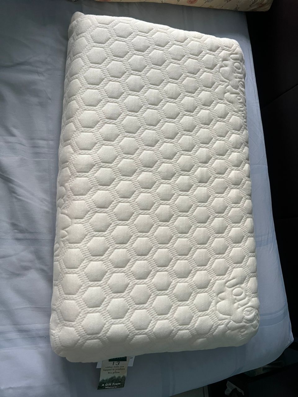Customer photo review of Getha Organic Cotton Latex Pillow