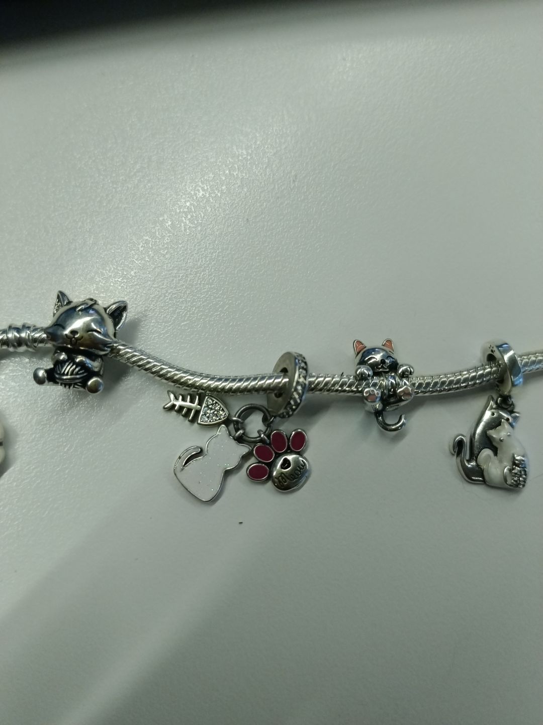Customer photo review of Charm de Meow ''Gatito''