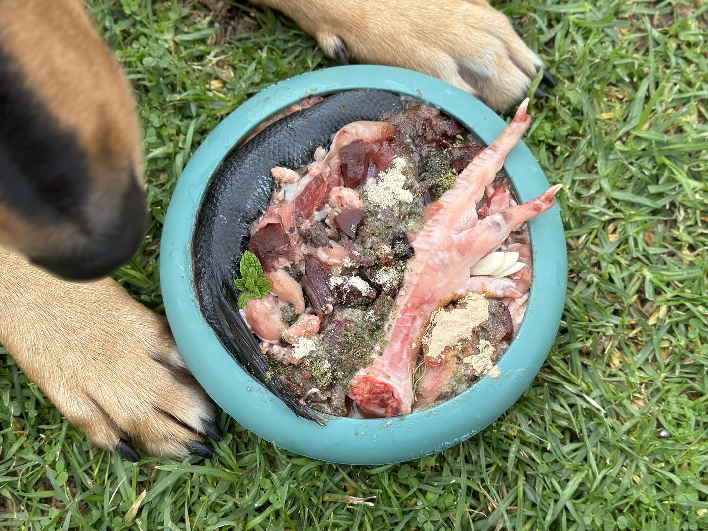 Customer photo review of Primal Venison Organ Mix (500g)
