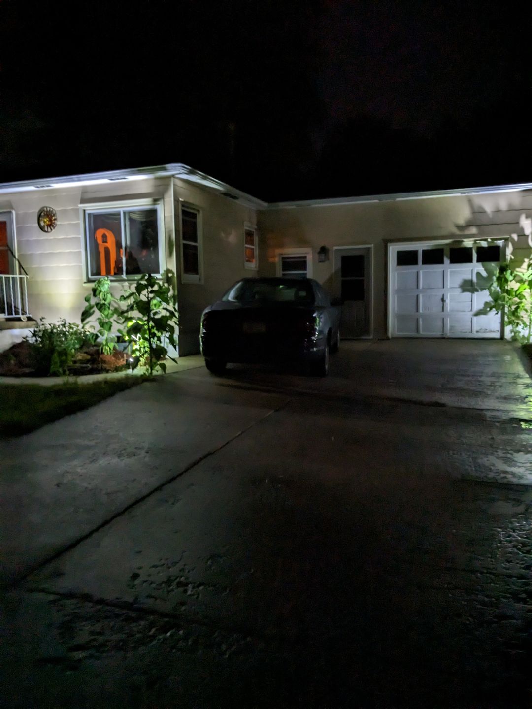 Customer photo review of TSUN Solar Spotlights For Trees Cool White