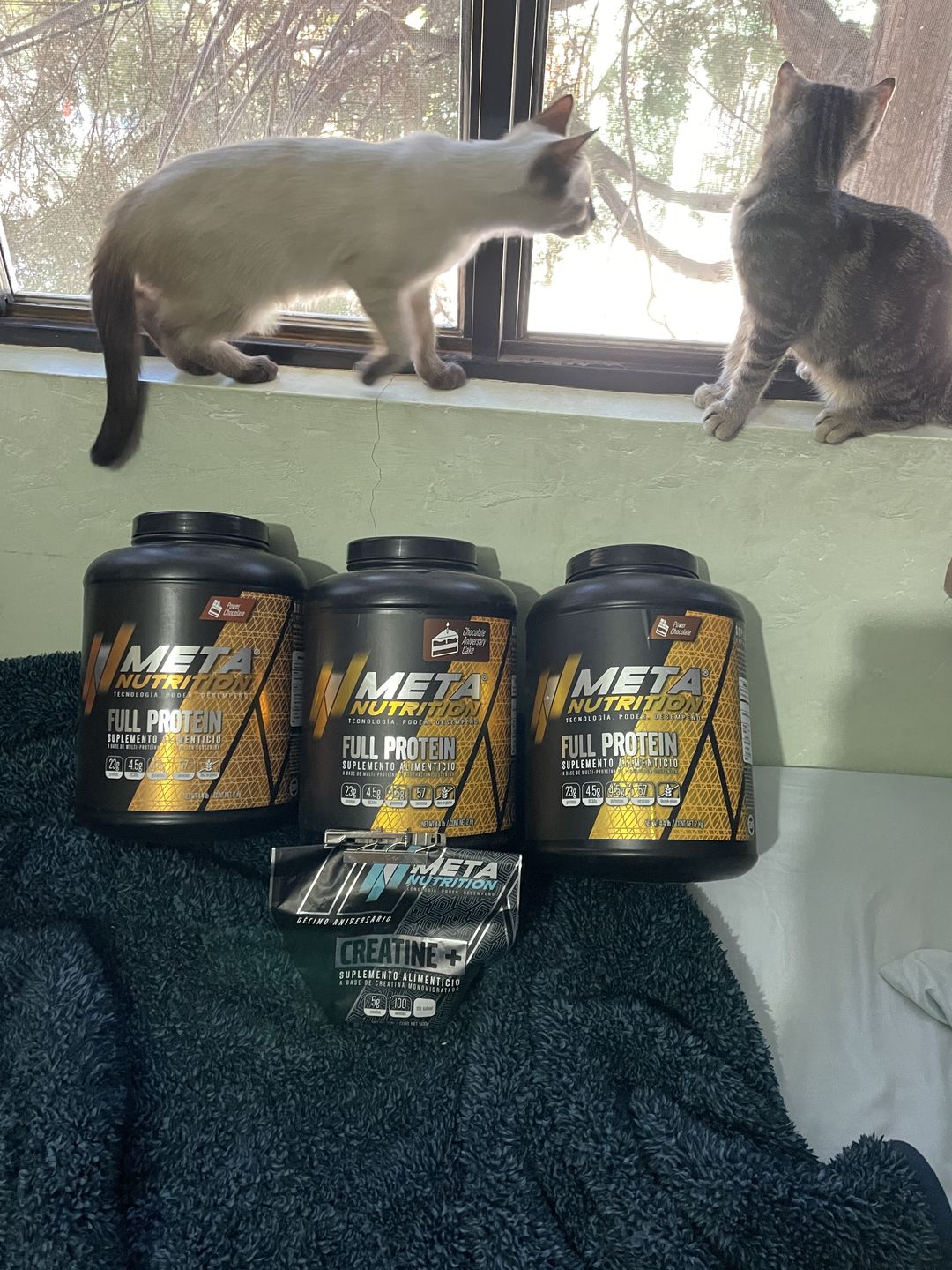 Customer photo review of Full Protein