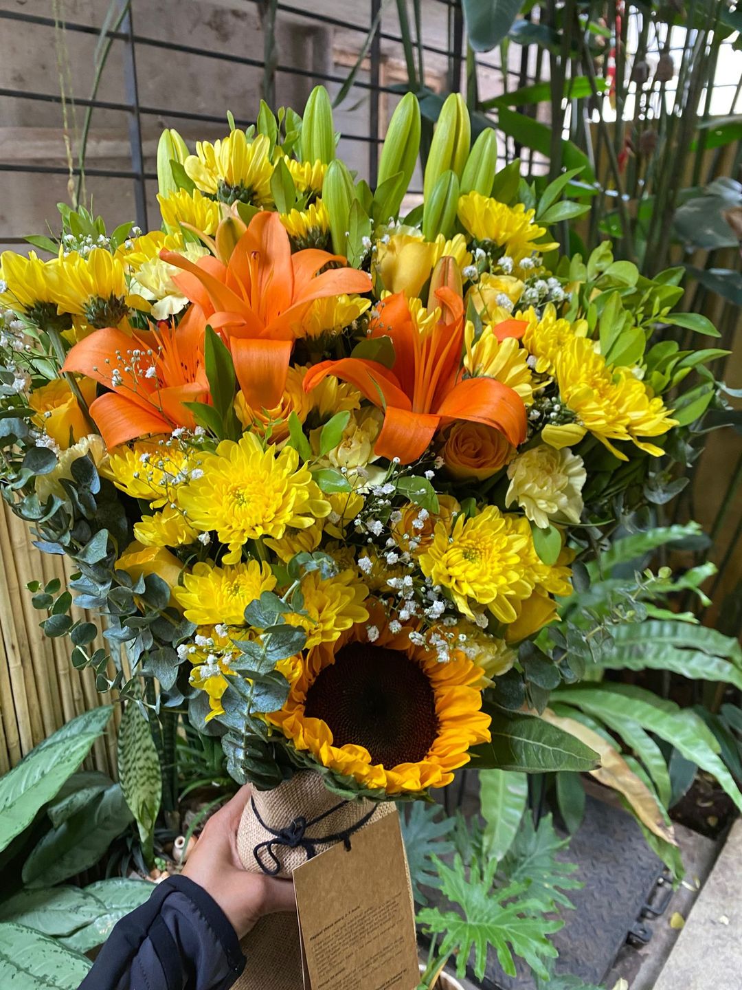 Customer photo review of Hello Sunshine