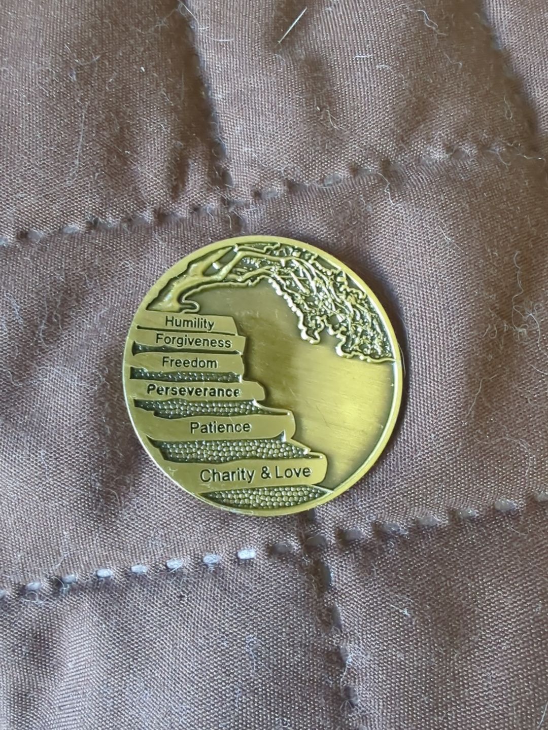 Customer photo review of Wisdom Tree 12 Steps/Principles AA Bronze Recovery Medallion
