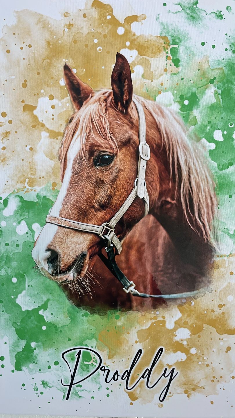 Customer photo review of Dein Pferd als Wasserfarben Portrait
