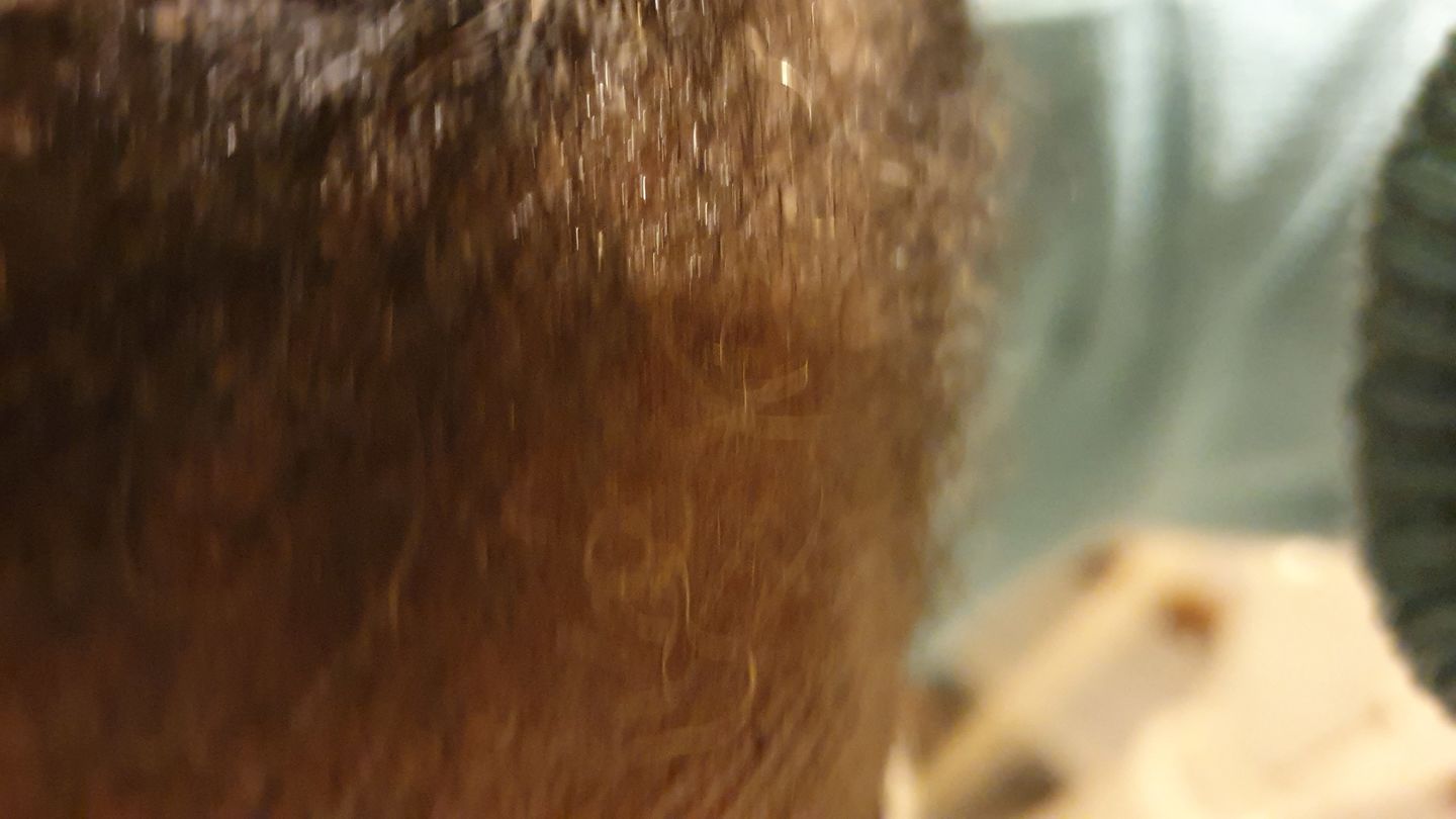 Customer photo review of Hair Growth Potion - Extra Strength