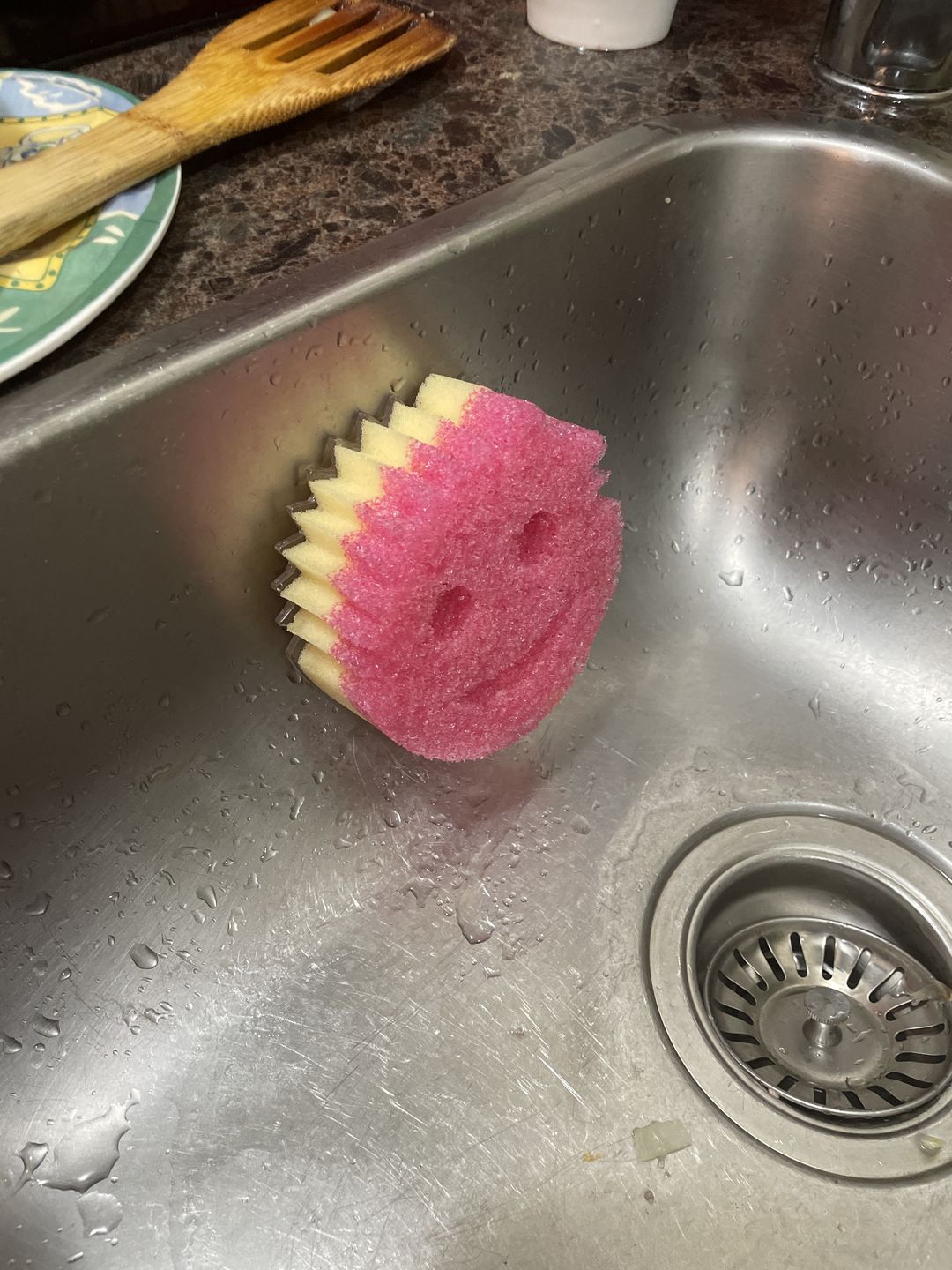 Customer photo review of Scrub Daddy Caddy