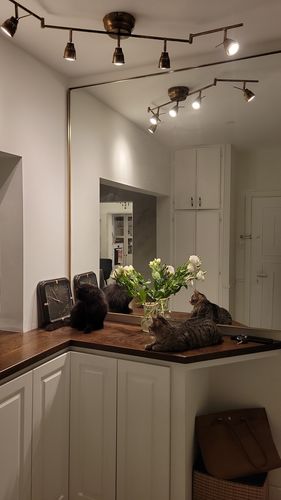 Customer photo review of מראה לפי מידה פינות מכופפות