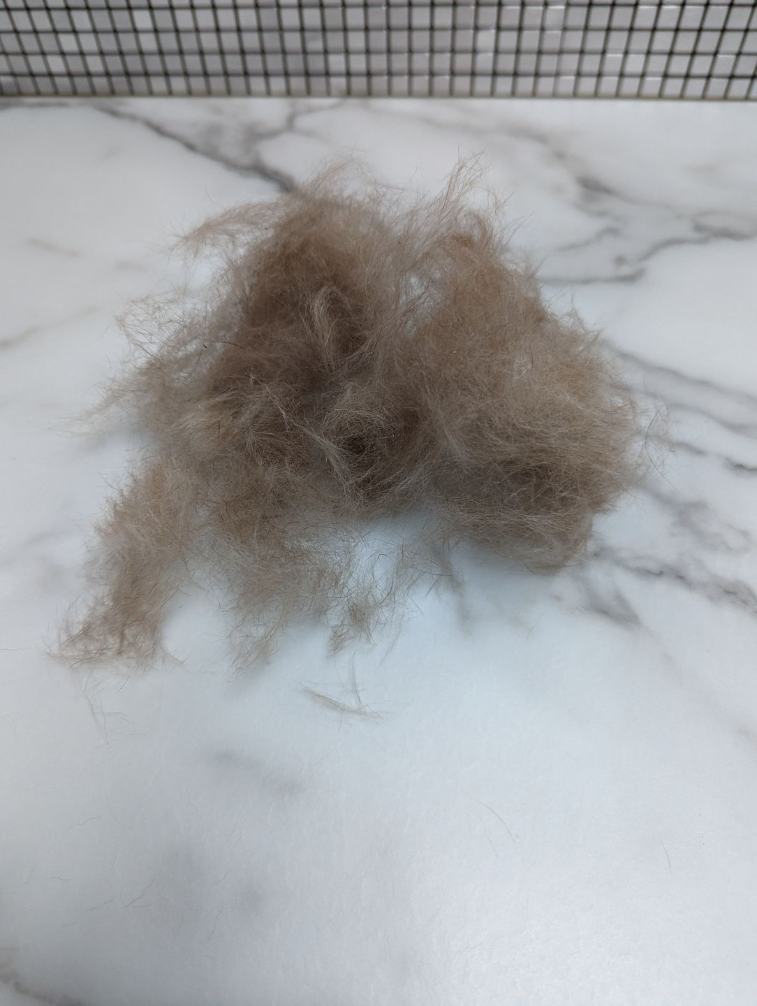 Customer photo review of BullyBillows Complete Animal Deshedding Kit - Pink