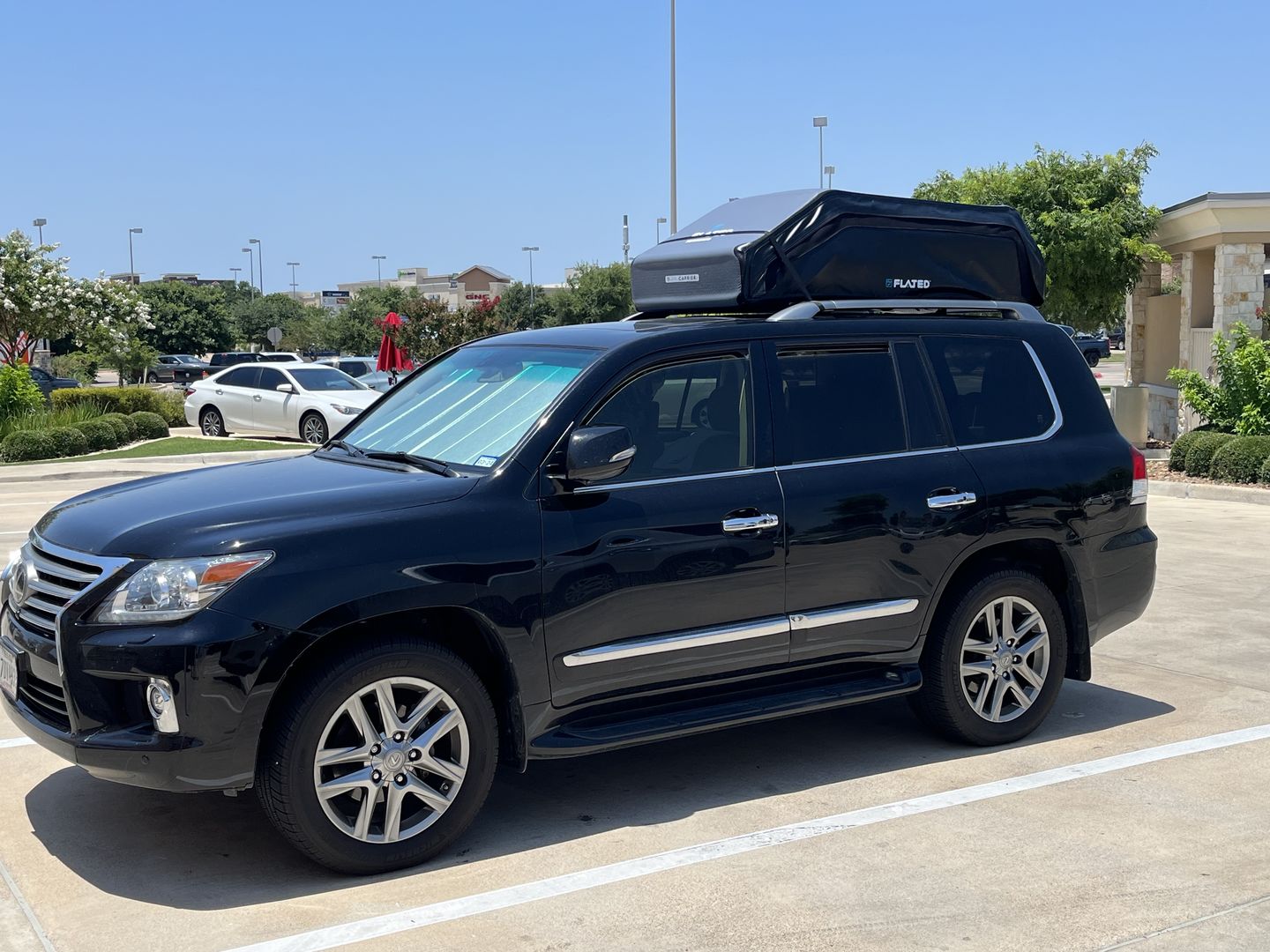 Customer photo review of LARGE CARRIER23