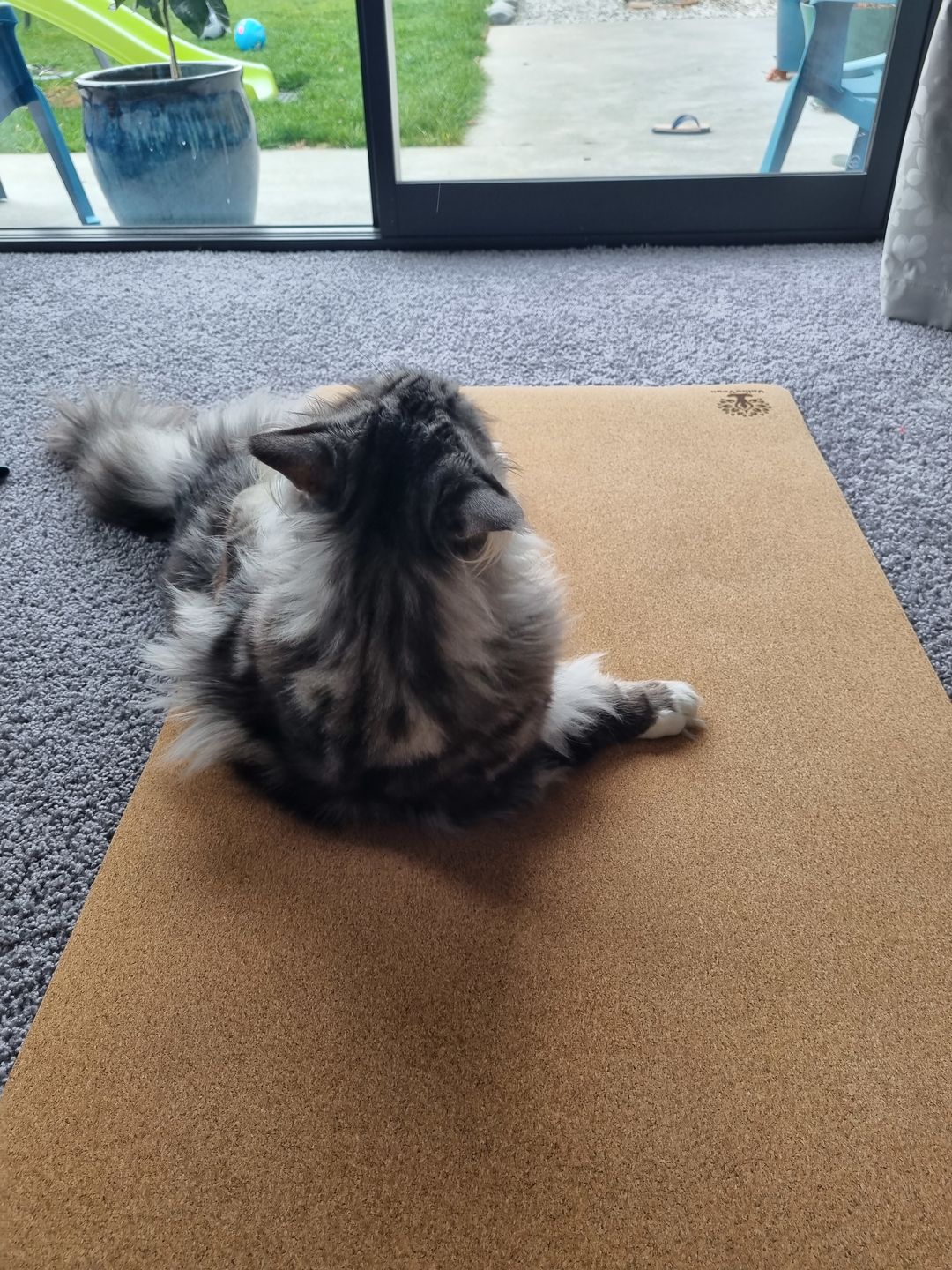 Customer photo review of Premium Yoga Mat