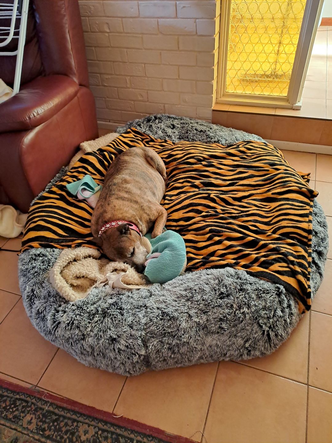 Customer photo review of The Human Size Nap Bed