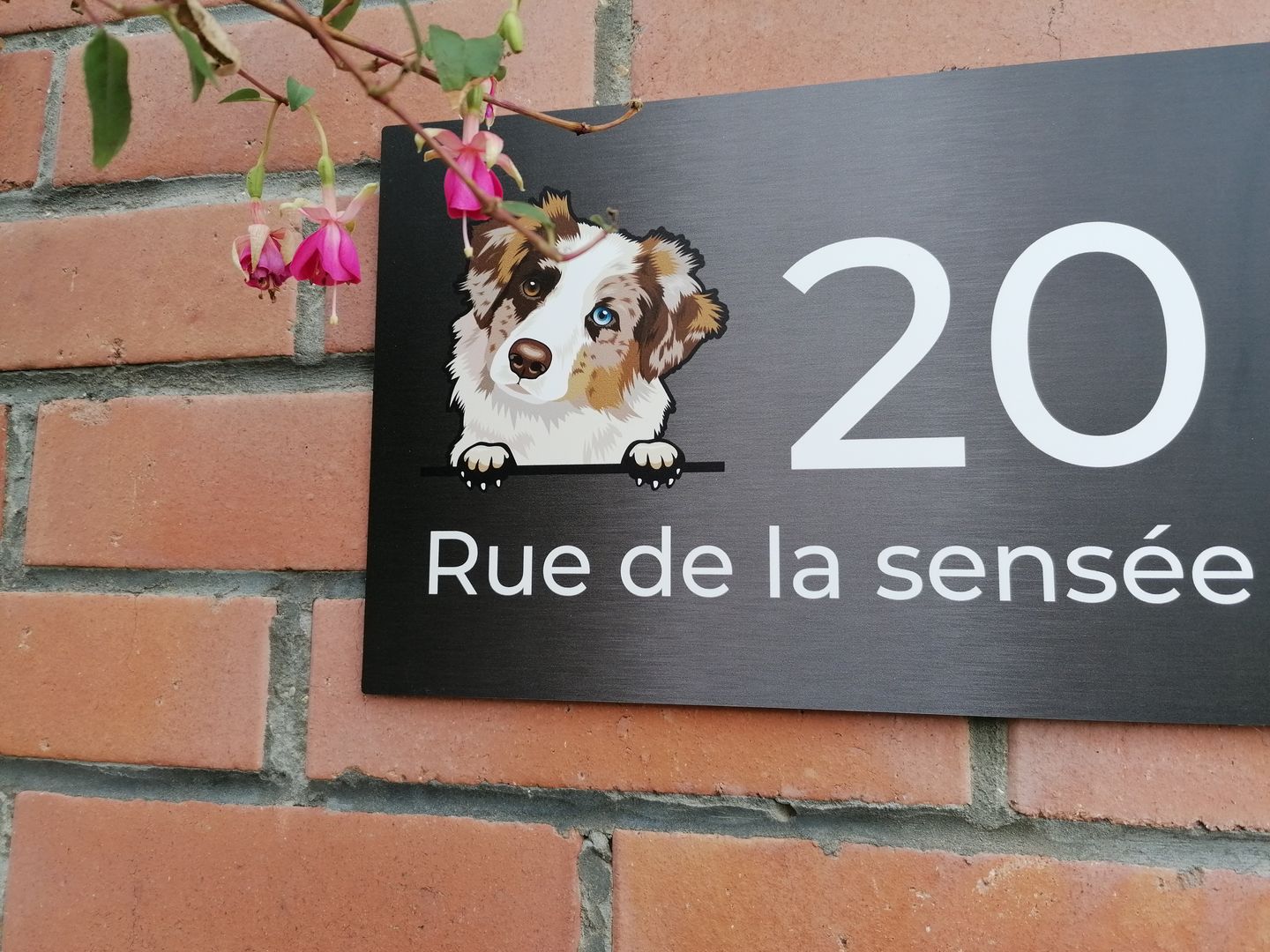 Customer photo review of Chiens curieux et numéro de maison - Plaque de porte personnalisée