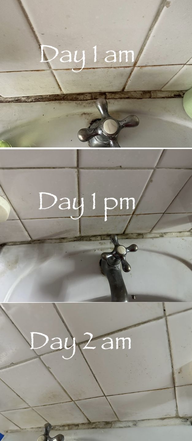 Customer photo review of Mold Remover Gel