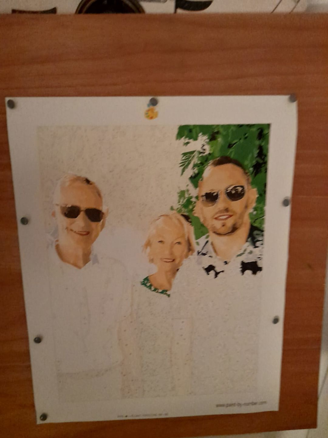Customer photo review of Custom Paint by Numbers Kit | Just Upload Your Photo!
