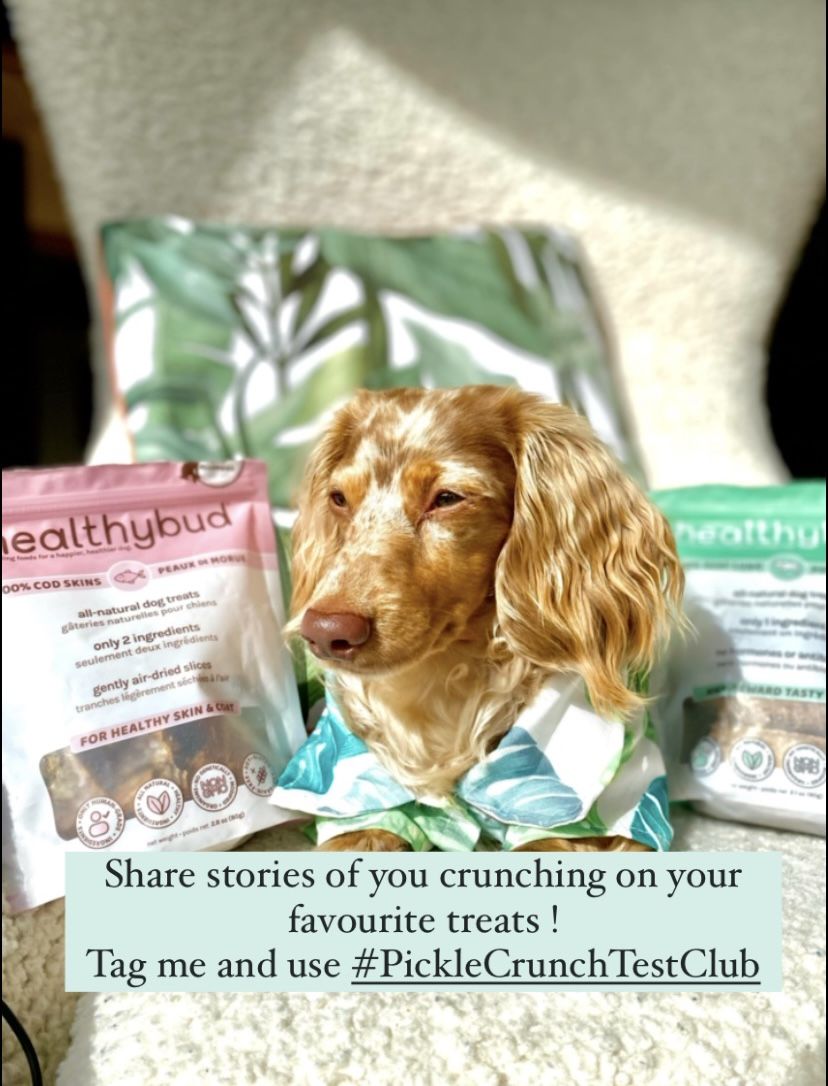 Customer photo review of Beef Lung Wafers