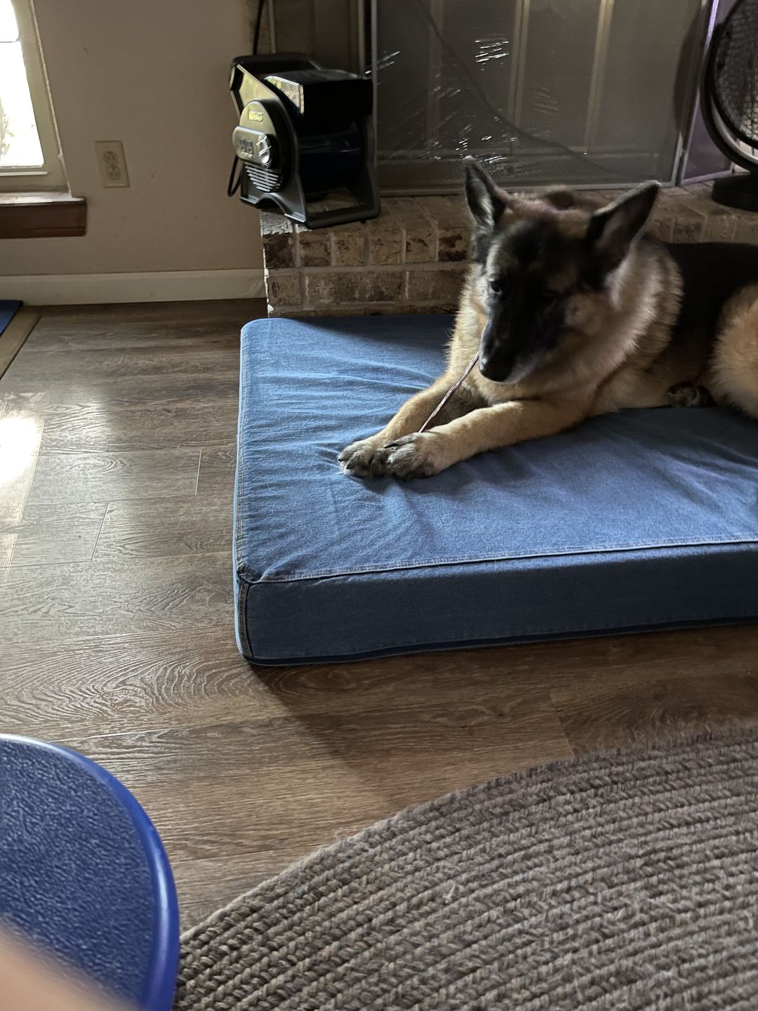 Customer photo review of 12 Inch Beef Jerky Stick