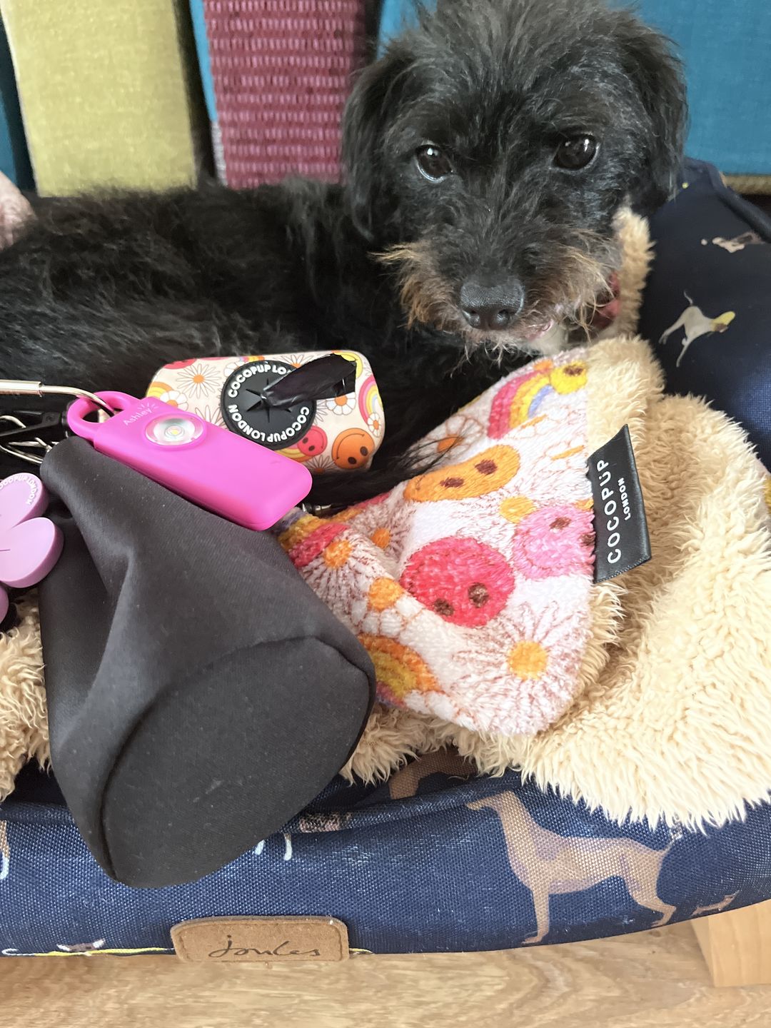 Customer photo review of The Ashley Personal Safety Alarm