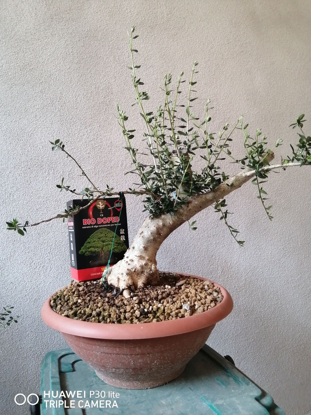 Customer photo review of BIO DOPED X2 PACK
