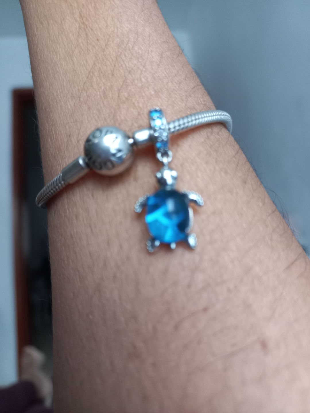 Customer photo review of Charm Tortuga